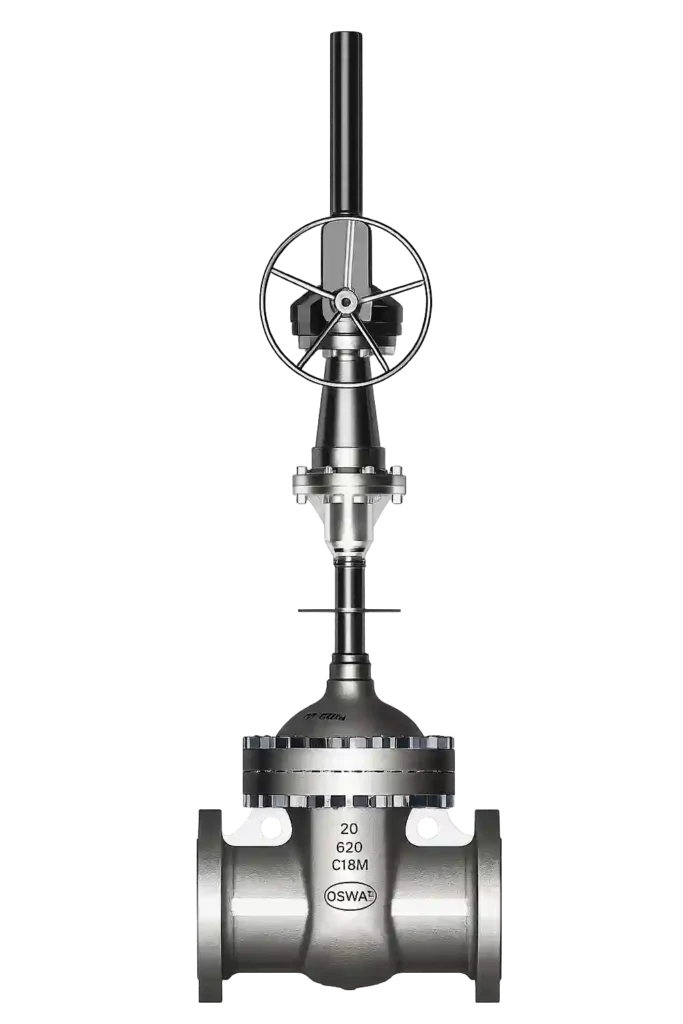Extended bonnet gate valve supplied by cryogenic valve suppliers in Bahrain.